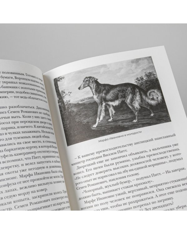 Русский в Англии. Самоучитель по беллетристике