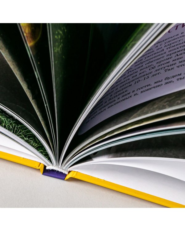 Самые необычные и редкие животные. Энциклопедия