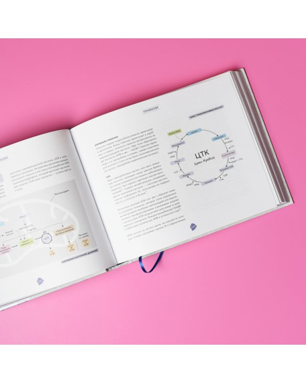 Биохакинг. Руководство по полному раскрытию потенциала организма