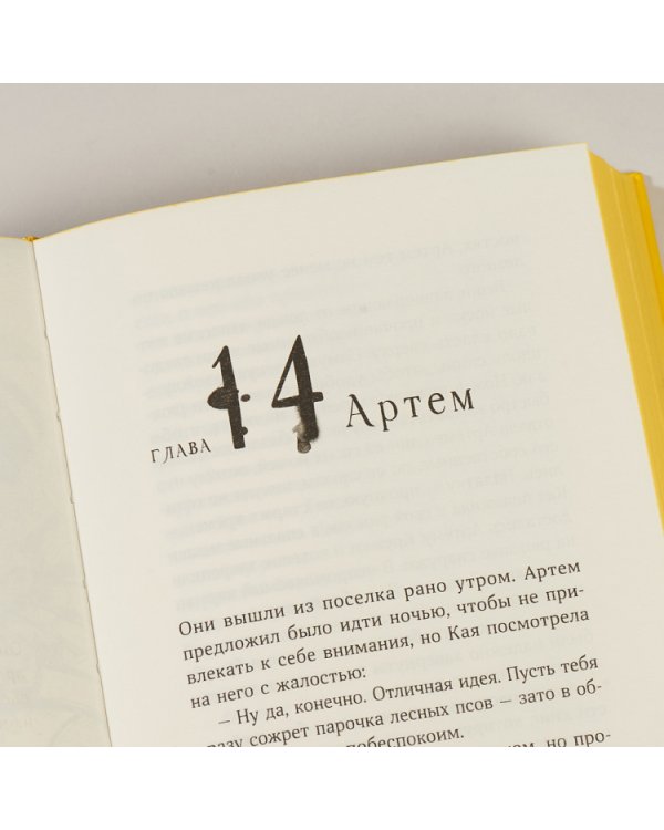 Мир из прорех.Новые правила