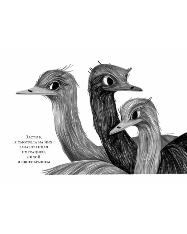 Те, кто делает нас лучше. 13 животных, которые помогли мне понять жизнь