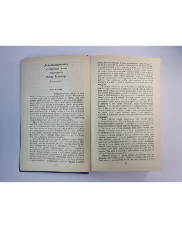 Жизнь льется через край. Сказки и истории немецких романтиков