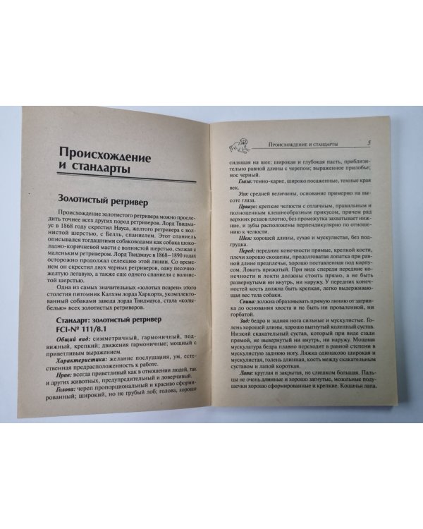 Лабрадор и золотистый ретривер