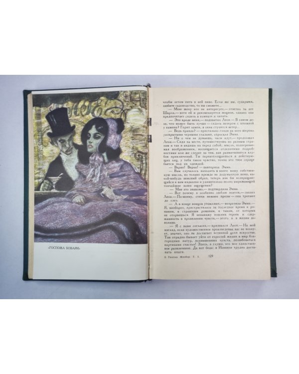 Госпожа Бовари. Искушение святого Антония. Г.Флобер. Собрание сочинений. Том 1