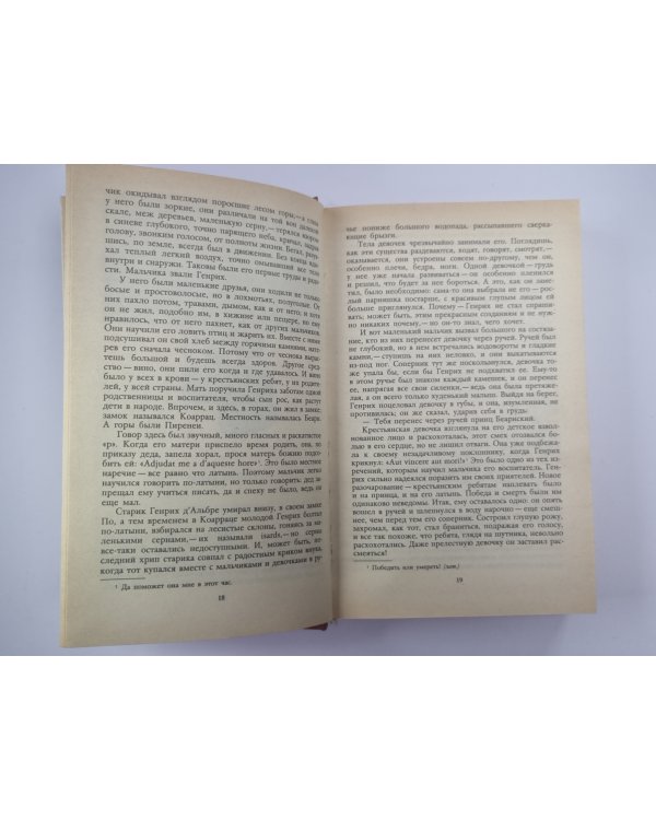 Молодые годы короля Генриха IV