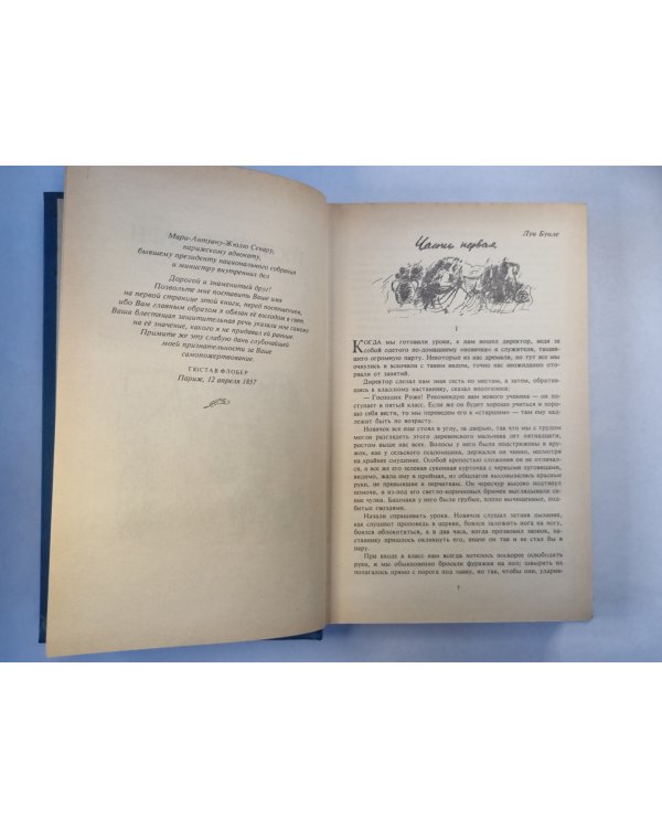 Госпожа Бовари. Саламбо