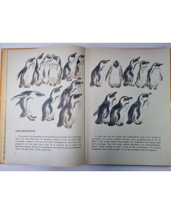 Mon Premier Livre De Zoologie