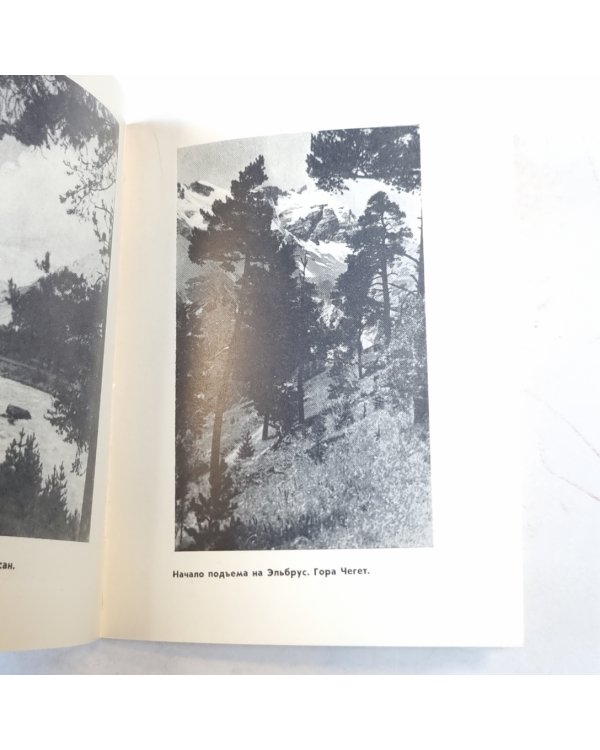 Кисловодский терренкур. Ближний туризм