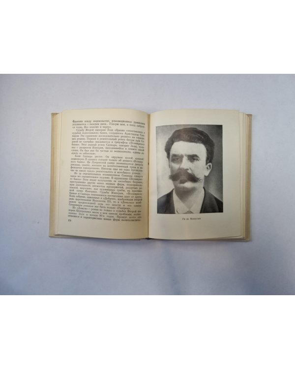 Портреты французских писателей