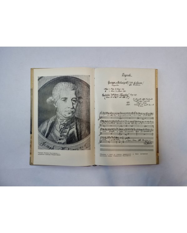 Иозеф Мысливечек (Серия: "Жизнь замечательных людей")