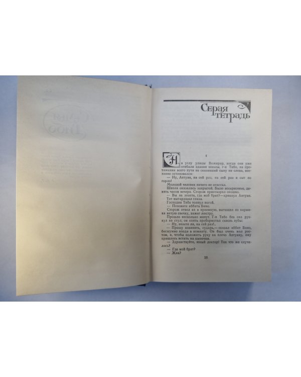 Семья Тибо. Том 1