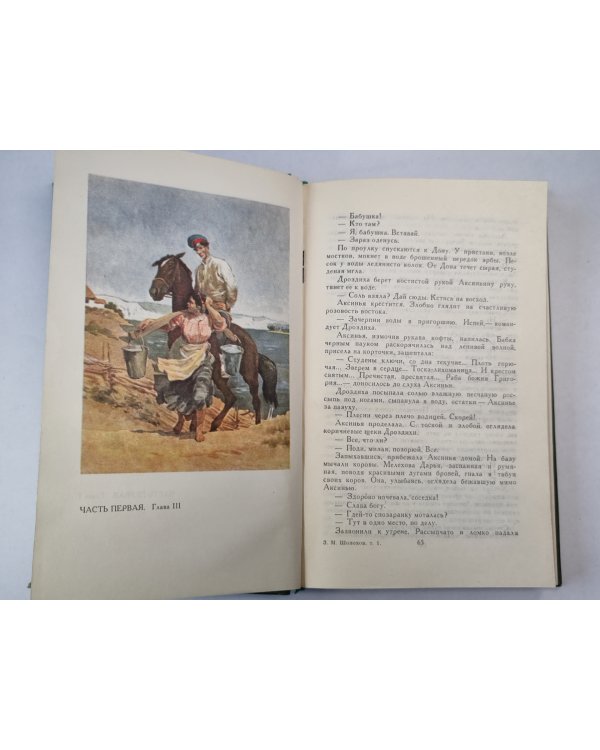 Тихий Дон. Книга 1. Том 1