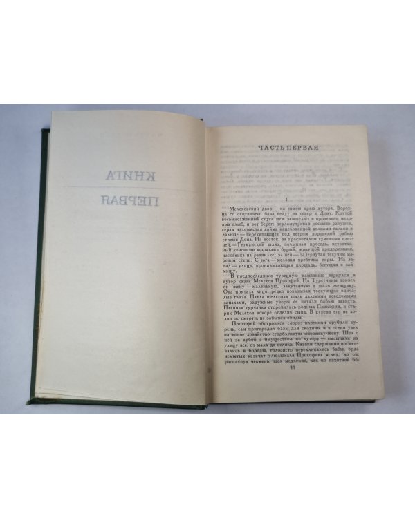 Тихий Дон. Книга 1. Том 1