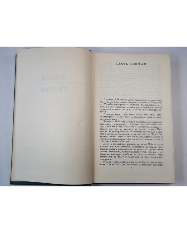 Тихий Дон. Книга 3. Том 3