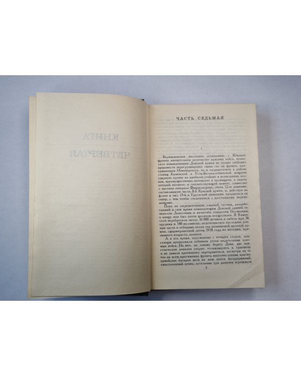 Тихий Дон.Книга 4. Том 4