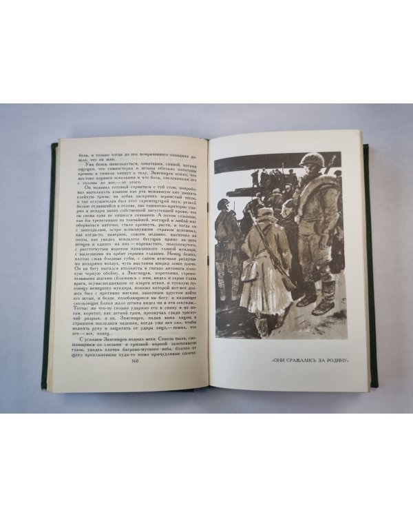 Они сражались за родину. Главы из романа. Рассказы. Том 7