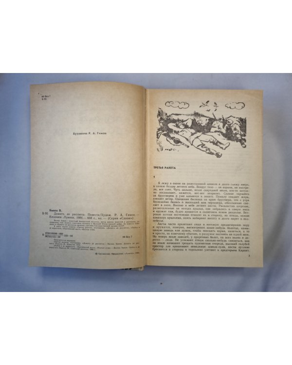 Дожить до рассвета