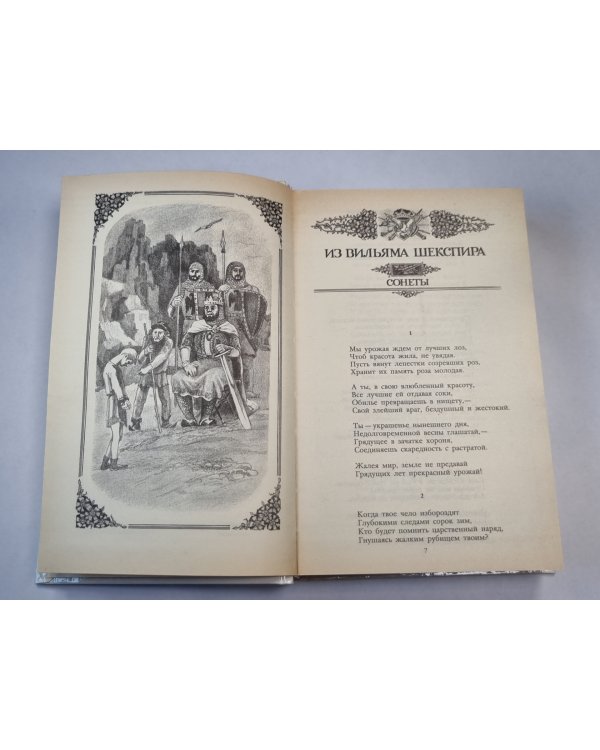 Переводы зарубежных поэтов из английской и шотландской поэзии. Собрание сочинений. Том 3