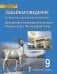 Забайкаловедение. Искусство Забайкальского края. Декоративно-прикладное искусство. Музыка. Театр. Фотография. Кино: учебное пособие для 9 класса общеобразовательных организаций