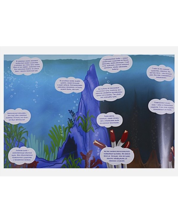 Подводный мир