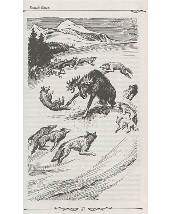 Белый клык.Смок Беллью