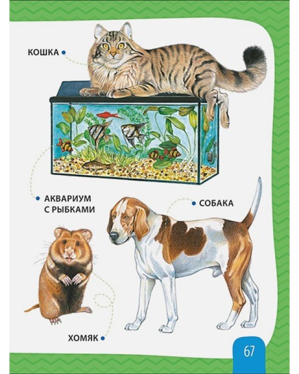 Любимая энциклопедия малыша