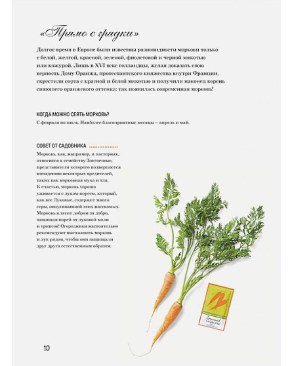 Французская вышивка крестом:Любимый огород Вероник Ажинер