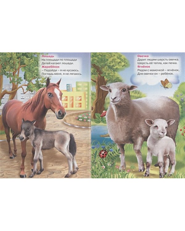 Большие и маленькие