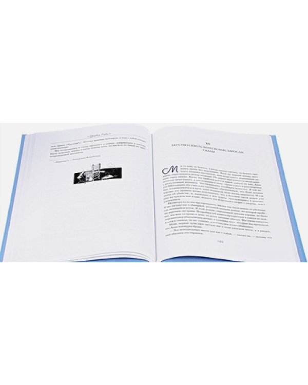 Похищенный