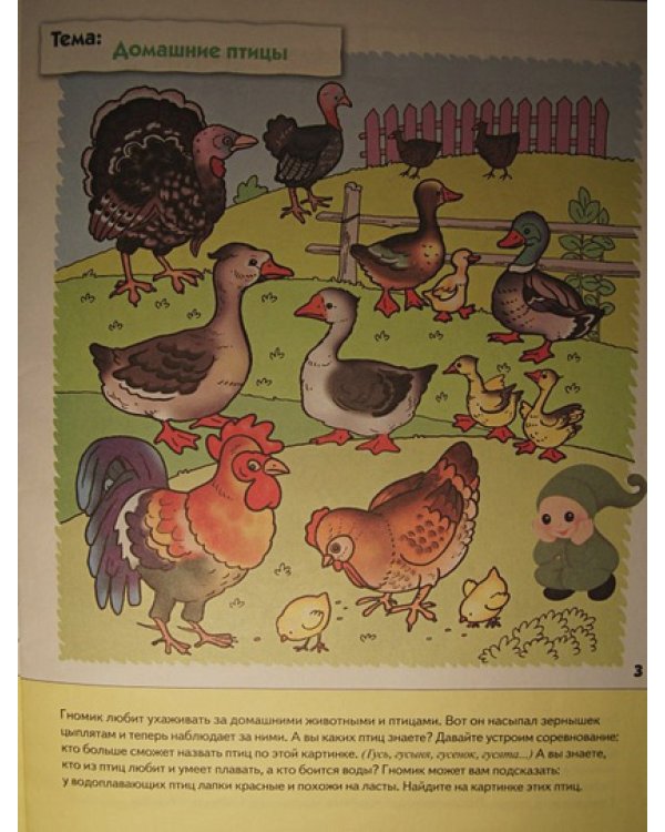 Развитие речи у малышей.Младшая группа.Рабочая тетрадь