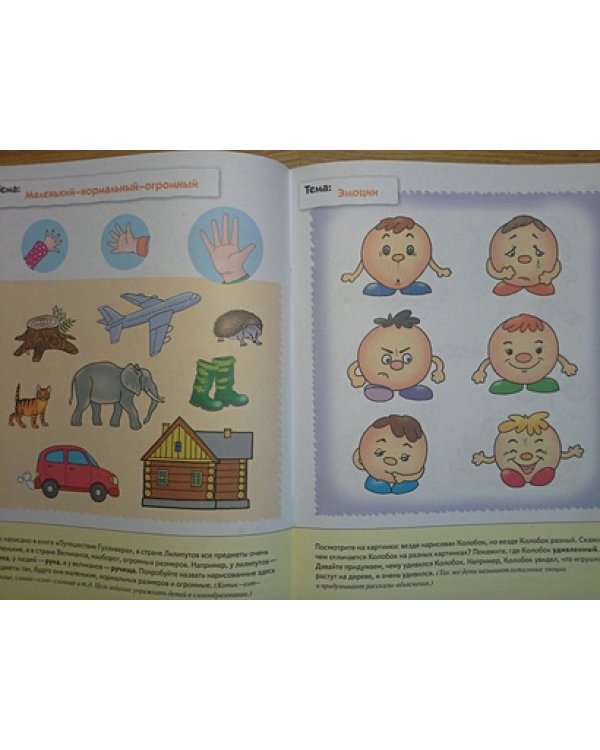 Развитие речи у дошкол.Старшая группа.Рабочая тетрадь