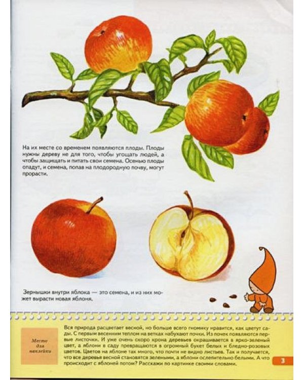 Тайны природы