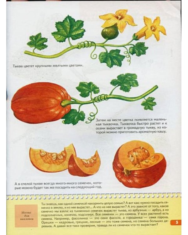 Тайны природы