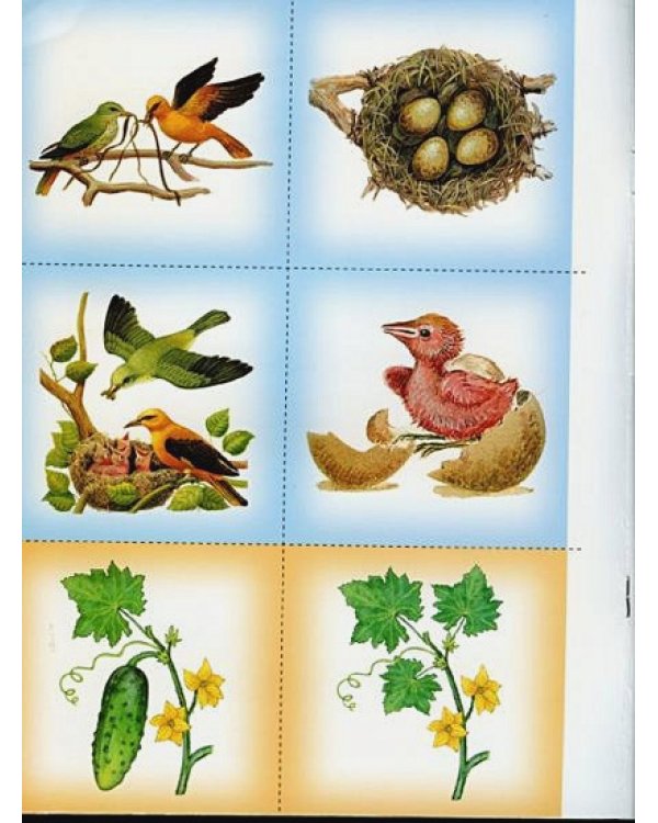 Тайны природы