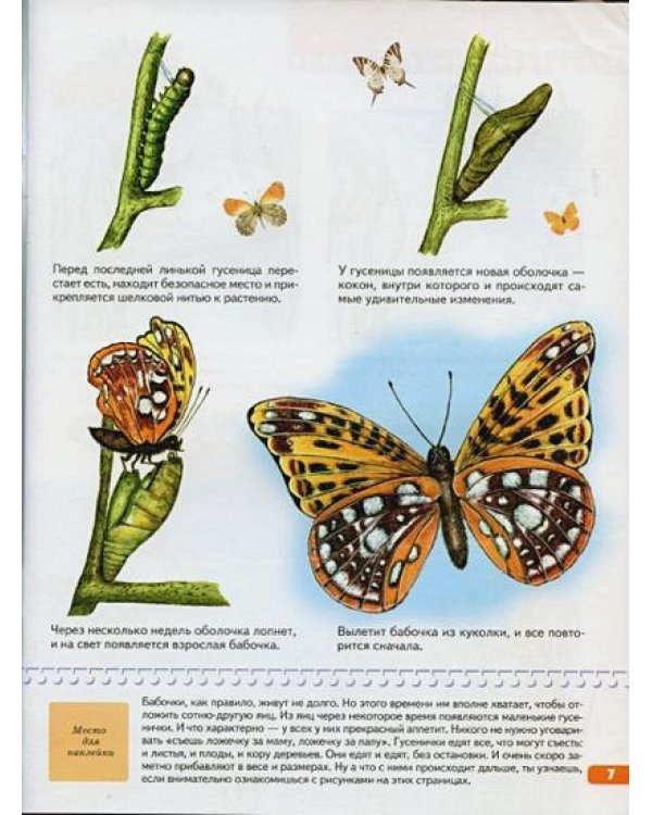 Тайны природы