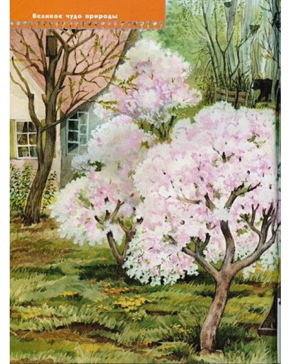 Тайны природы