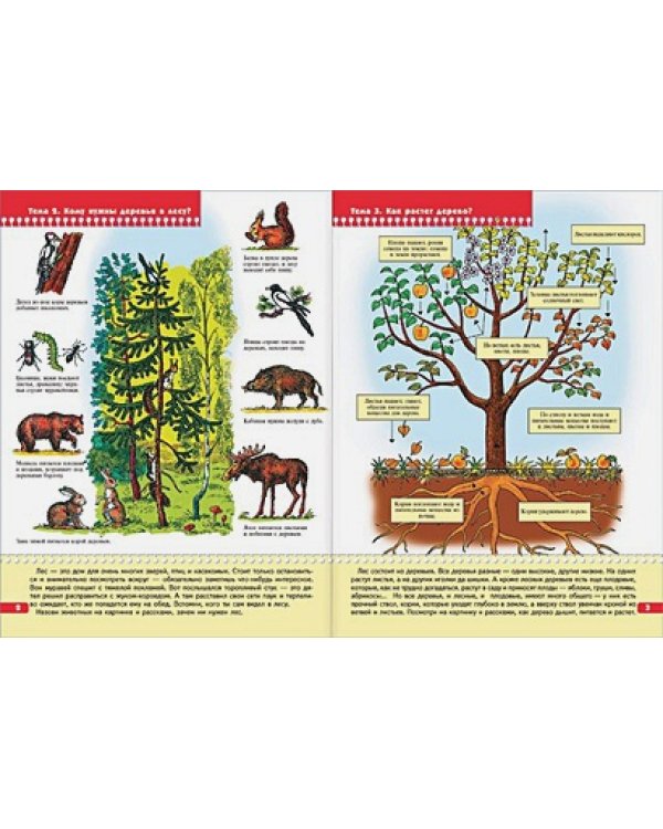 Экология для малышей