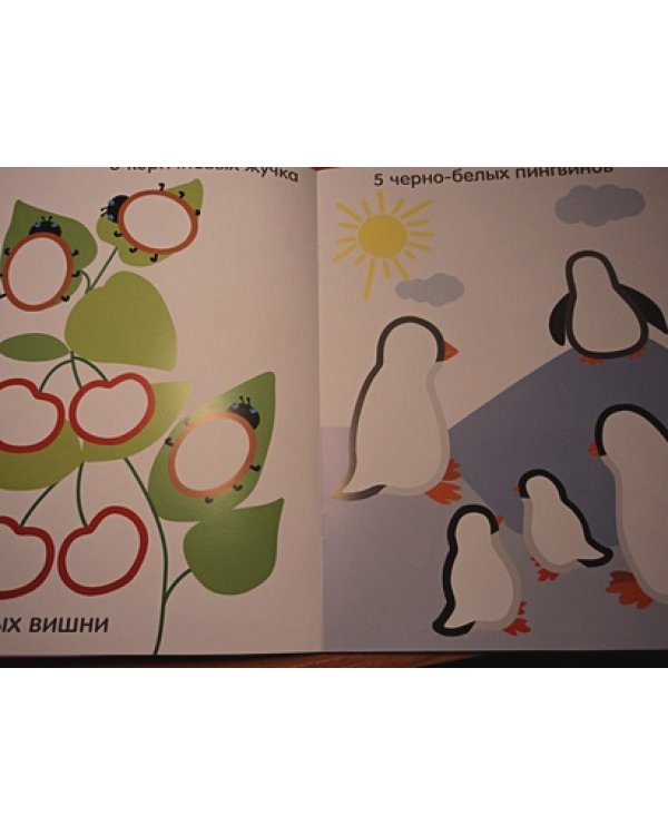 Разноцветный счет