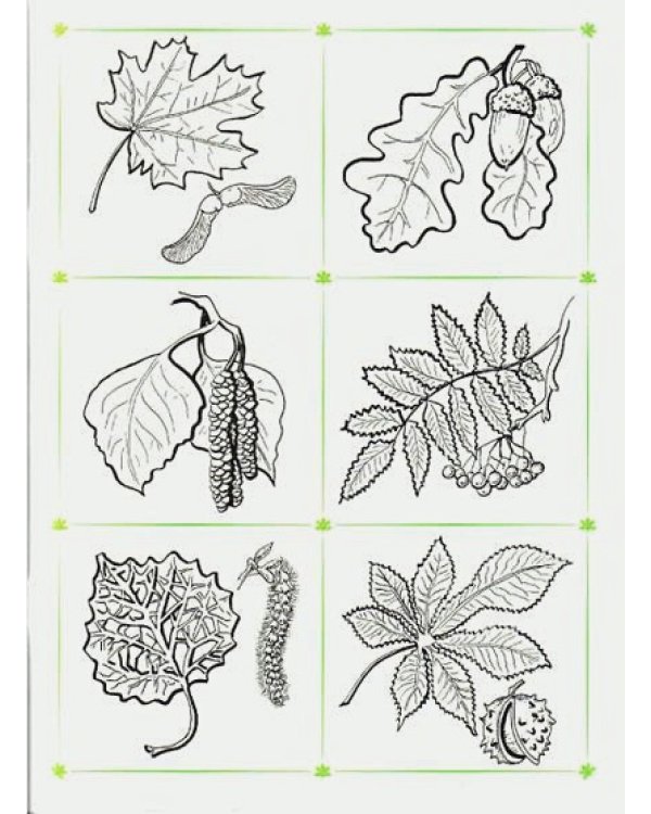 Что лежит в лукошке?