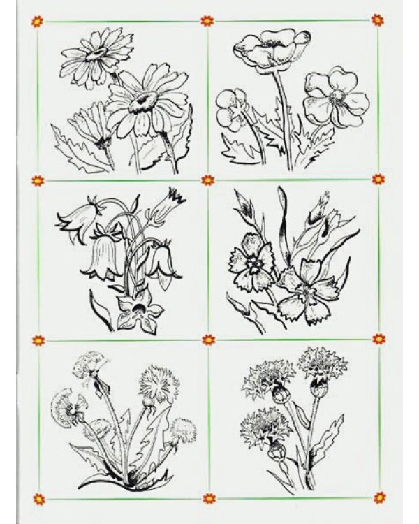 Что лежит в лукошке?