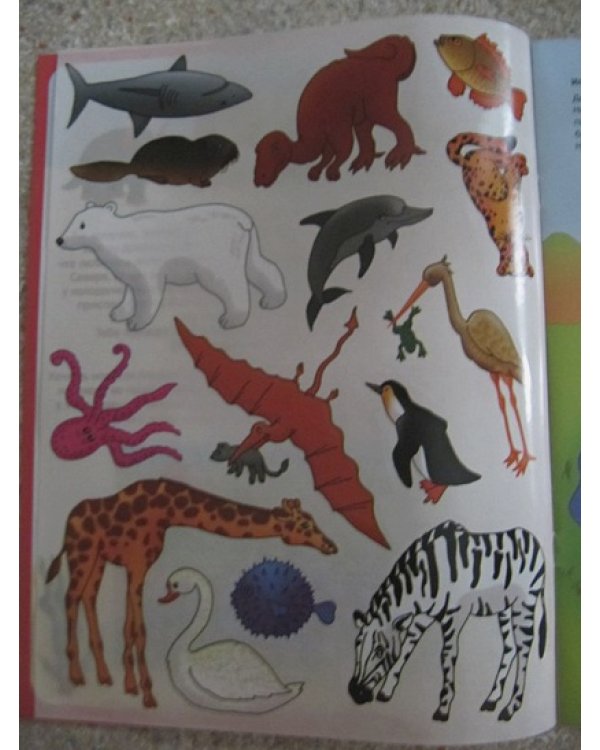 Где живет жираф