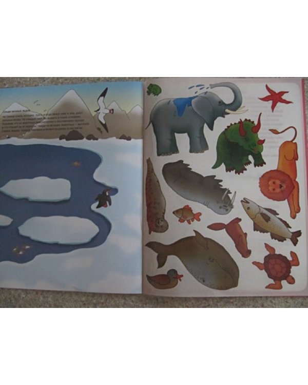 Где живет жираф