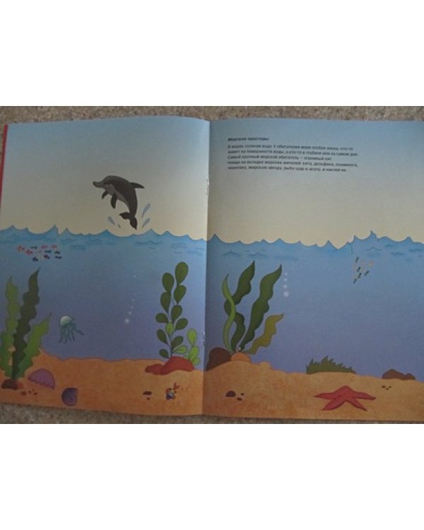 Где живет жираф