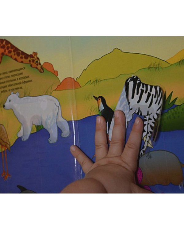 Где живет жираф