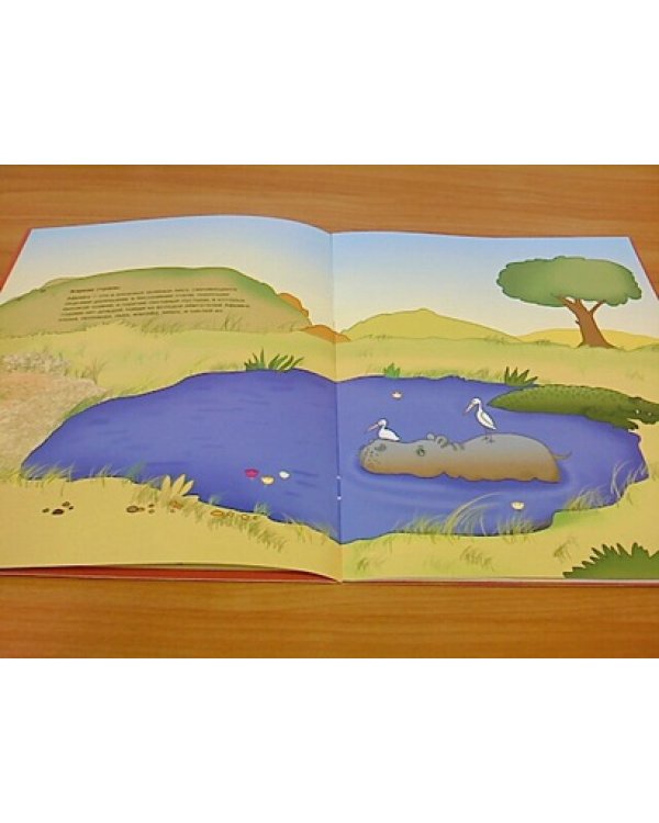 Где живет жираф