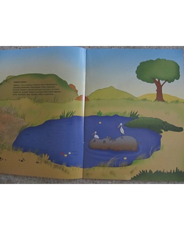 Где живет жираф