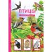 Птицы.Школьный путеводитель