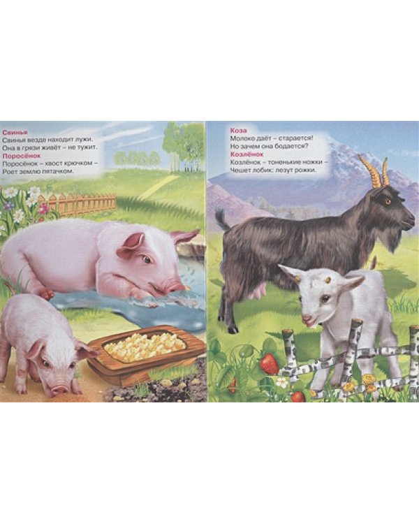 Большие и маленькие