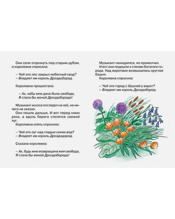 Король Дроздобород