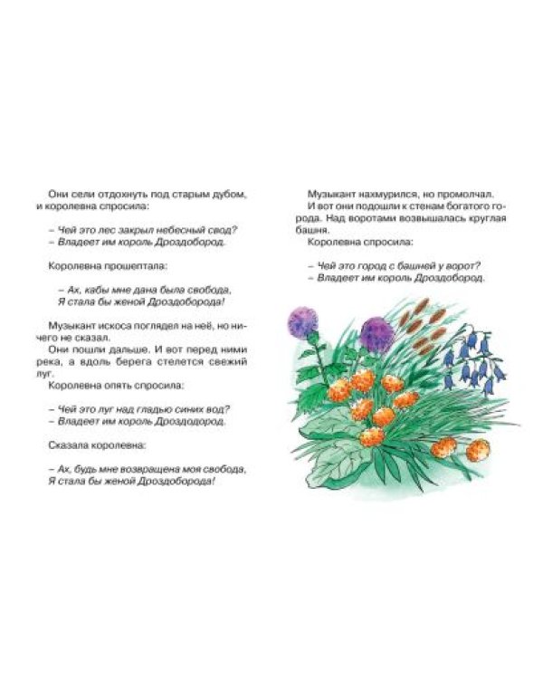 Король Дроздобород